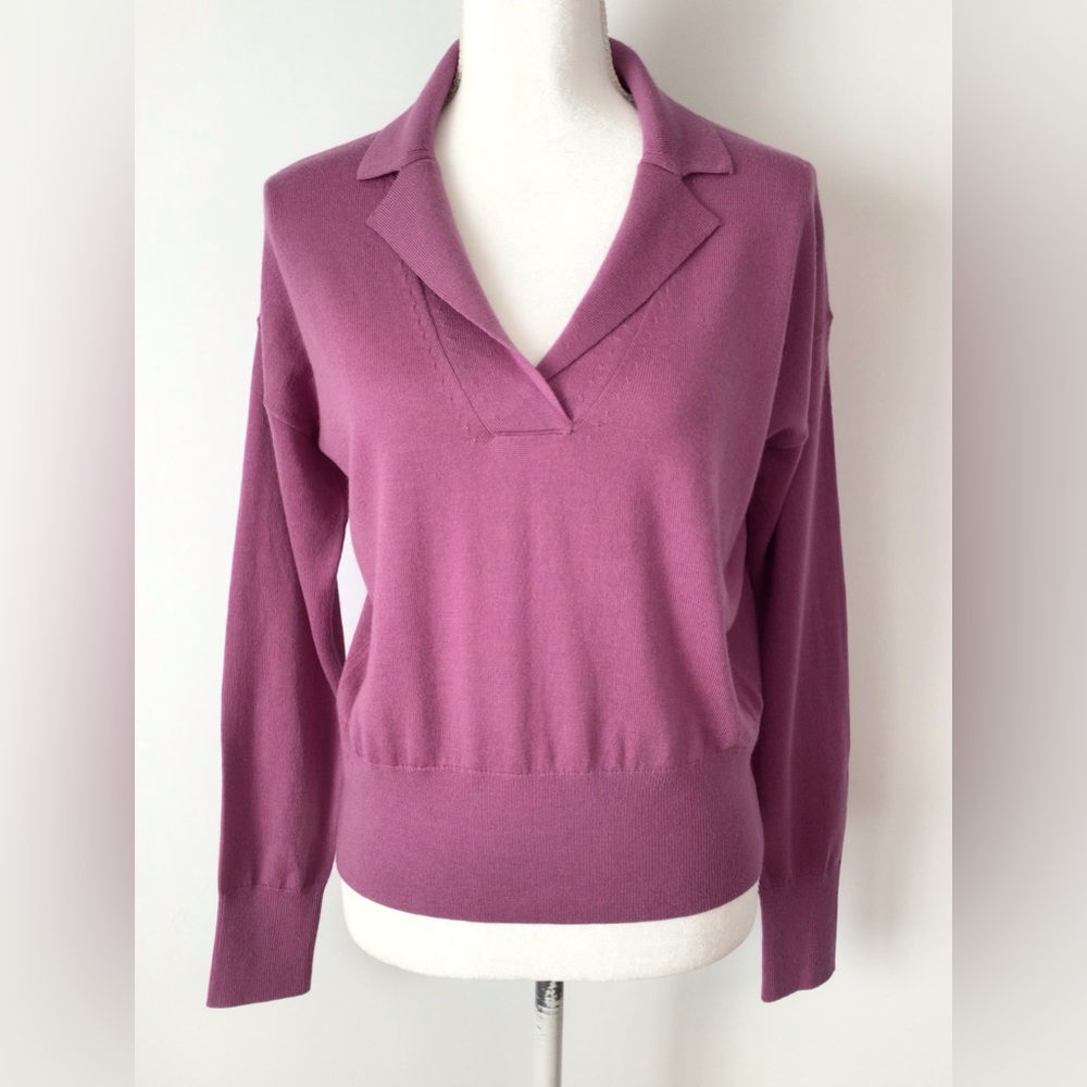 Banana Republic Polo Sweater Merino Wool